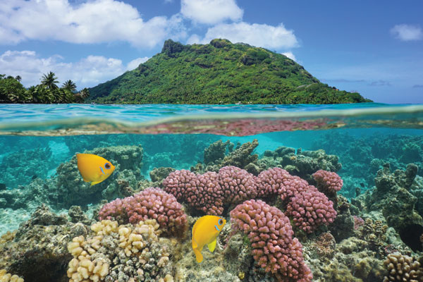 600×400-underwater